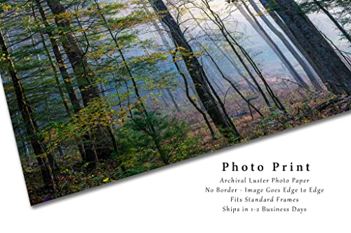 Orman Fotoğraf Baskı (Çerçeveli Değil) Resim Ağaçları Sis Sonbahar Sabahı Büyük Smoky Dağları Milli Parkı Tennessee Ülke