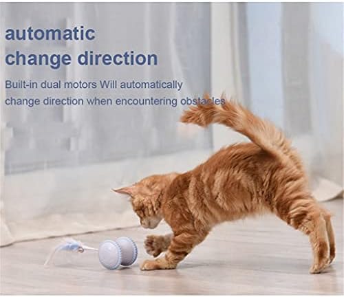 WZHSDKL Interaktif Pet Köpek Kediler Elektrikli Oyuncak mikro usb Powered Tumbler Otomatik Olarak Yönünü Değiştirmek Alay